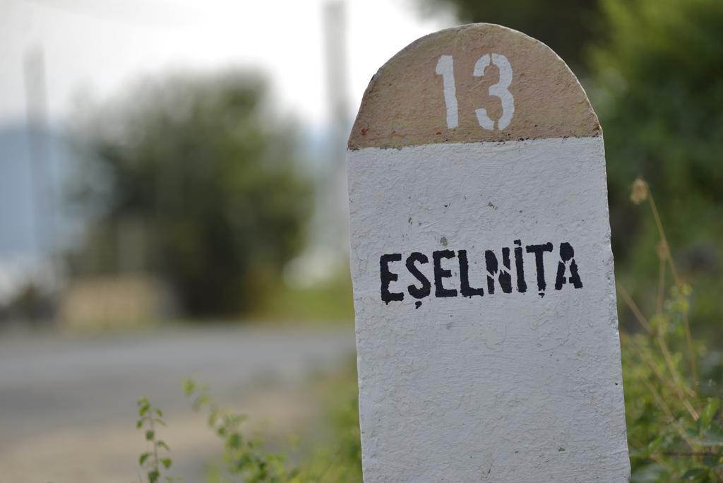Casa Marina Hotell Ieşelniţa Exteriör bild